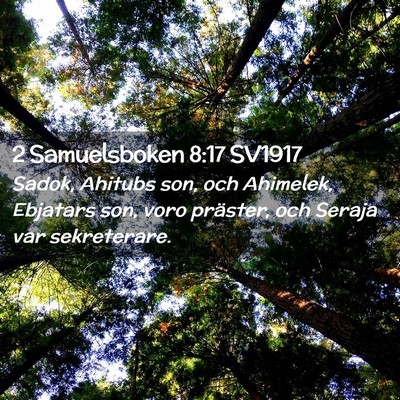Picture 02 - 2 Samuelsboken 8:17 SV1917 - Sadok, Ahitubs son, och Ahimelek, Ebjatars son, - Bible Verse Picture