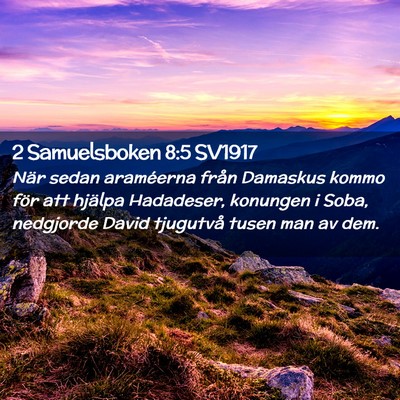 Picture 02 - 2 Samuelsboken 8:5 SV1917 - När sedan araméerna från Damaskus kommo för - Bible Verse Picture