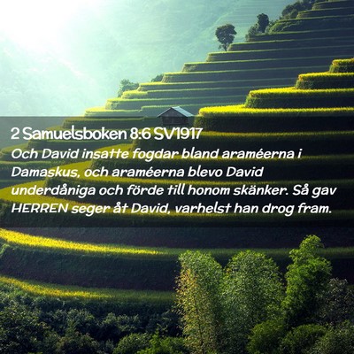 Picture 02 - 2 Samuelsboken 8:6 SV1917 - Och David insatte fogdar bland araméerna i - Bible Verse Picture