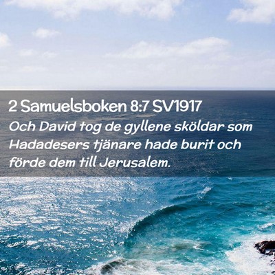 Picture 02 - 2 Samuelsboken 8:7 SV1917 - Och David tog de gyllene sköldar som Hadadesers - Bible Verse Picture