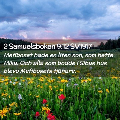 Picture 02 - 2 Samuelsboken 9:12 SV1917 - Mefiboset hade en liten son, som hette Mika. Och - Bible Verse Picture