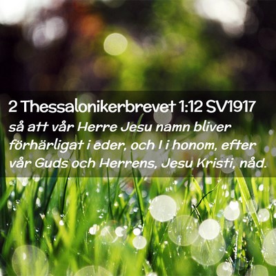 Picture 02 - 2 Thessalonikerbrevet 1:12 SV1917 - så att vår Herre Jesu namn bliver förhärligat - Bible Verse Picture