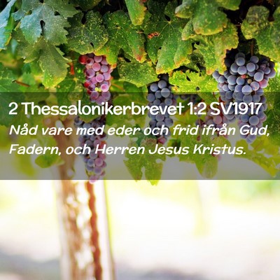 Picture 02 - 2 Thessalonikerbrevet 1:2 SV1917 - Nåd vare med eder och frid ifrån Gud, Fadern, - Bible Verse Picture