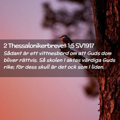 Picture 02 - 2 Thessalonikerbrevet 1:5 SV1917 - Sådant är ett vittnesbörd om att Guds dom - Bible Verse Picture