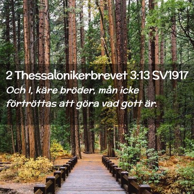 Picture 02 - 2 Thessalonikerbrevet 3:13 SV1917 - Och I, käre bröder, mån icke förtröttas att - Bible Verse Picture