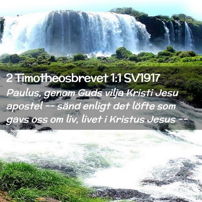 Picture 02 - 2 Timotheosbrevet 1:1 SV1917 - Paulus, genom Guds vilja Kristi Jesu apostel -- - Bible Verse Picture
