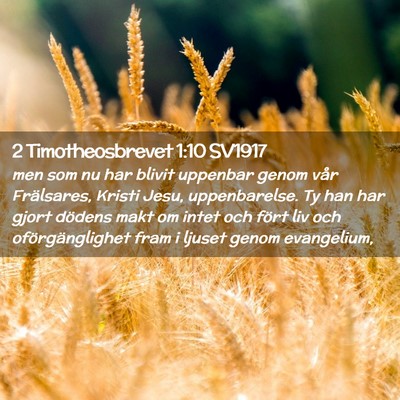 Picture 02 - 2 Timotheosbrevet 1:10 SV1917 - men som nu har blivit uppenbar genom vår - Bible Verse Picture