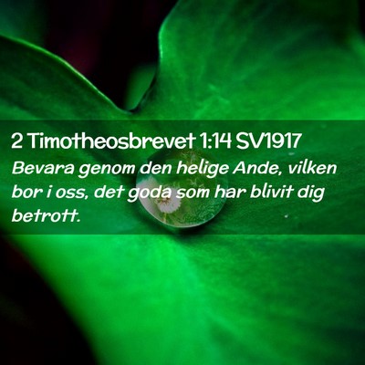 Picture 02 - 2 Timotheosbrevet 1:14 SV1917 - Bevara genom den helige Ande, vilken bor i oss, - Bible Verse Picture