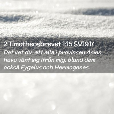 Picture 02 - 2 Timotheosbrevet 1:15 SV1917 - Det vet du, att alla i provinsen Asien hava vänt - Bible Verse Picture