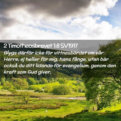 Picture 02 - 2 Timotheosbrevet 1:8 SV1917 - Blygs därför icke för vittnesbördet om vår - Bible Verse Picture