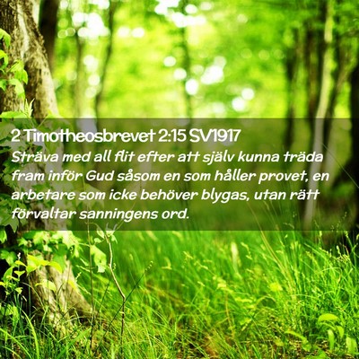 Picture 02 - 2 Timotheosbrevet 2:15 SV1917 - Sträva med all flit efter att själv kunna - Bible Verse Picture
