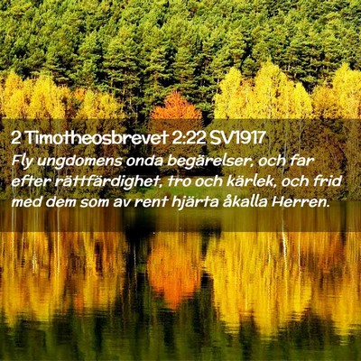 Picture 02 - 2 Timotheosbrevet 2:22 SV1917 - Fly ungdomens onda begärelser, och far efter - Bible Verse Picture