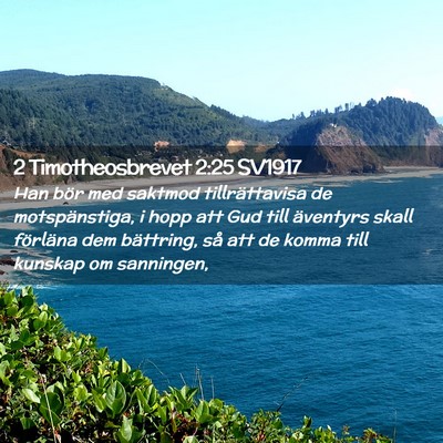 Picture 02 - 2 Timotheosbrevet 2:25 SV1917 - Han bör med saktmod tillrättavisa de - Bible Verse Picture