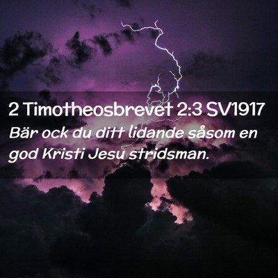 Picture 02 - 2 Timotheosbrevet 2:3 SV1917 - Bär ock du ditt lidande såsom en god Kristi - Bible Verse Picture