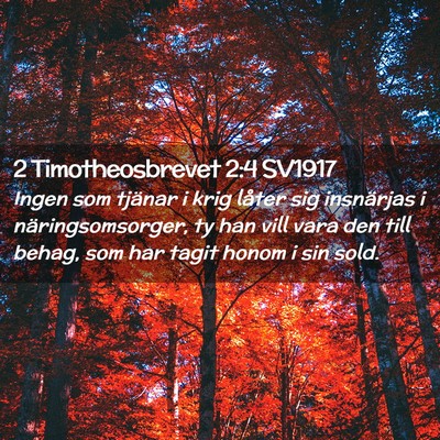 Picture 02 - 2 Timotheosbrevet 2:4 SV1917 - Ingen som tjänar i krig låter sig insnärjas i - Bible Verse Picture
