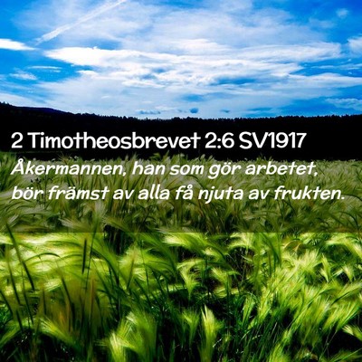 Picture 02 - 2 Timotheosbrevet 2:6 SV1917 - Åkermannen, han som gör arbetet, bör främst - Bible Verse Picture
