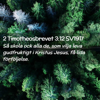 Picture 02 - 2 Timotheosbrevet 3:12 SV1917 - Så skola ock alla de, som vilja leva gudfruktigt - Bible Verse Picture