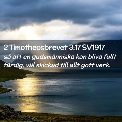 Picture 02 - 2 Timotheosbrevet 3:17 SV1917 - så att en gudsmänniska kan bliva fullt färdig, - Bible Verse Picture