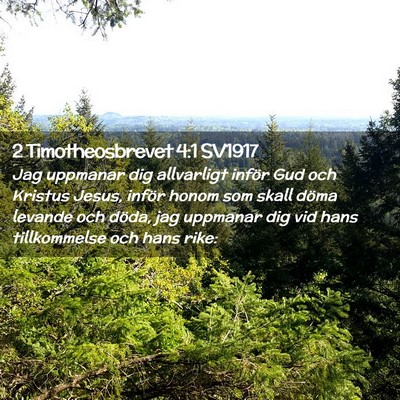 Picture 02 - 2 Timotheosbrevet 4:1 SV1917 - Jag uppmanar dig allvarligt inför Gud och - Bible Verse Picture