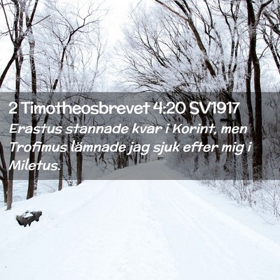 Picture 02 - 2 Timotheosbrevet 4:20 SV1917 - Erastus stannade kvar i Korint, men Trofimus - Bible Verse Picture