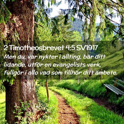 Picture 02 - 2 Timotheosbrevet 4:5 SV1917 - Men du, var nykter i allting, bär ditt lidande, - Bible Verse Picture