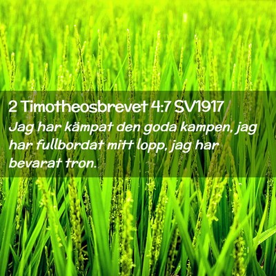 Picture 02 - 2 Timotheosbrevet 4:7 SV1917 - Jag har kämpat den goda kampen, jag har - Bible Verse Picture