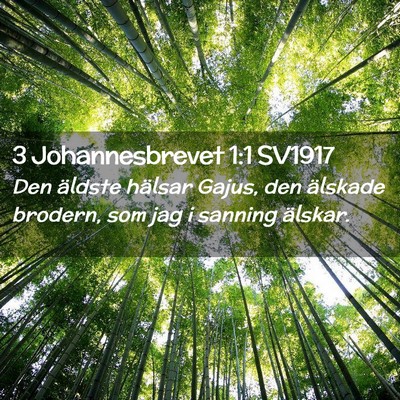 Picture 02 - 3 Johannesbrevet 1:1 SV1917 - Den äldste hälsar Gajus, den älskade brodern, - Bible Verse Picture