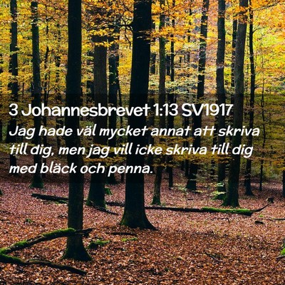 Picture 02 - 3 Johannesbrevet 1:13 SV1917 - Jag hade väl mycket annat att skriva till dig, - Bible Verse Picture