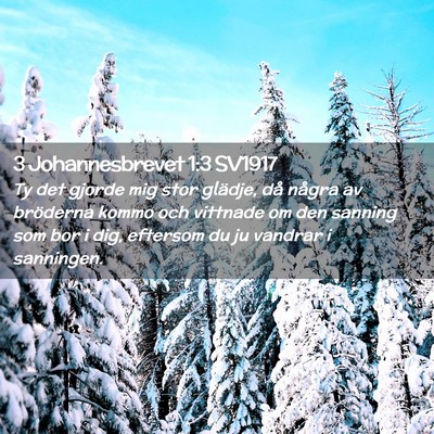 Picture 02 - 3 Johannesbrevet 1:3 SV1917 - Ty det gjorde mig stor glädje, då några av - Bible Verse Picture