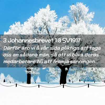 Picture 02 - 3 Johannesbrevet 1:8 SV1917 - Därför äro vi å vår sida pliktiga att taga - Bible Verse Picture
