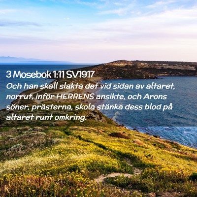 Picture 02 - 3 Mosebok 1:11 SV1917 - Och han skall slakta det vid sidan av altaret, - Bible Verse Picture