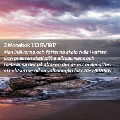 Picture 02 - 3 Mosebok 1:13 SV1917 - Men inälvorna och fötterna skola tvås i - Bible Verse Picture