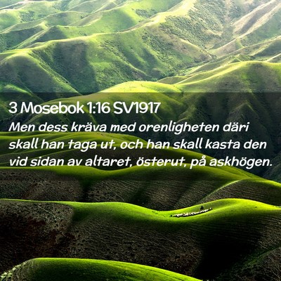 Picture 02 - 3 Mosebok 1:16 SV1917 - Men dess kräva med orenligheten däri skall han - Bible Verse Picture
