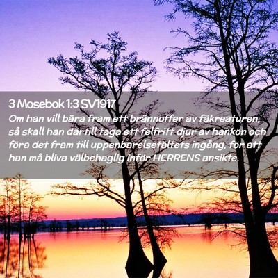 Picture 02 - 3 Mosebok 1:3 SV1917 - Om han vill bära fram ett brännoffer av - Bible Verse Picture