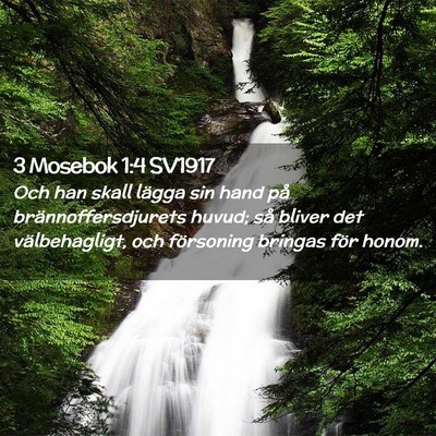 Picture 02 - 3 Mosebok 1:4 SV1917 - Och han skall lägga sin hand på - Bible Verse Picture