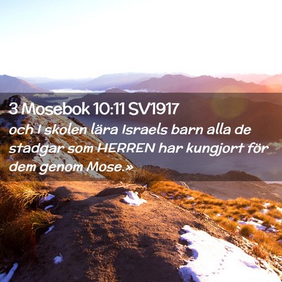 Picture 02 - 3 Mosebok 10:11 SV1917 - och I skolen lära Israels barn alla de stadgar - Bible Verse Picture