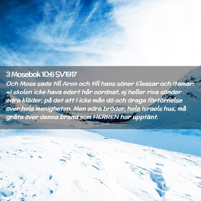 Picture 02 - 3 Mosebok 10:6 SV1917 - Och Mose sade till Aron och till hans söner - Bible Verse Picture