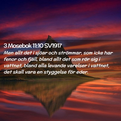 Picture 02 - 3 Mosebok 11:10 SV1917 - Men allt det i sjöar och strömmar, som icke har - Bible Verse Picture