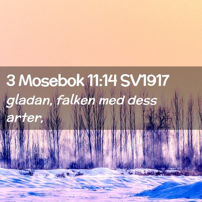 Picture 02 - 3 Mosebok 11:14 SV1917 - gladan, falken med dess - Bible Verse Picture