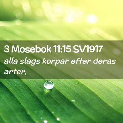 Picture 02 - 3 Mosebok 11:15 SV1917 - alla slags korpar efter deras - Bible Verse Picture