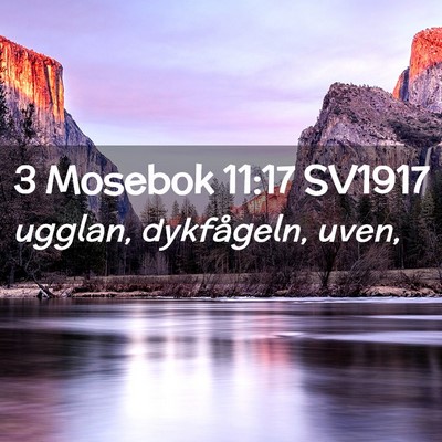 Picture 02 - 3 Mosebok 11:17 SV1917 - ugglan, dykfågeln, - Bible Verse Picture