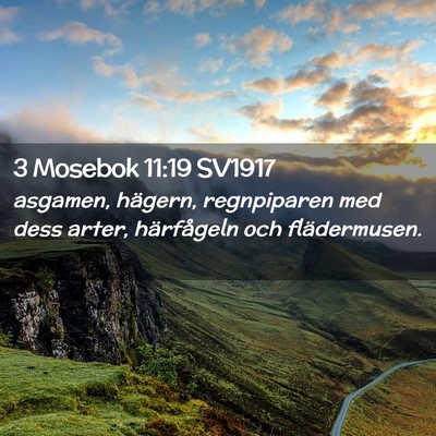 Picture 02 - 3 Mosebok 11:19 SV1917 - asgamen, hägern, regnpiparen med dess arter, - Bible Verse Picture