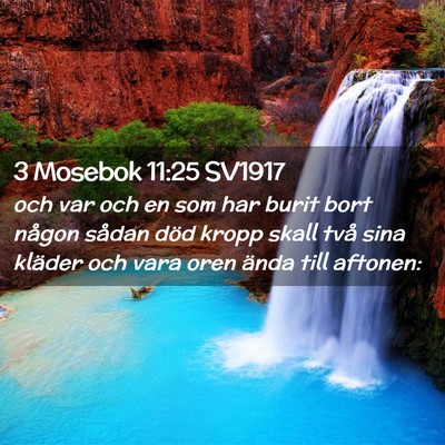 Picture 02 - 3 Mosebok 11:25 SV1917 - och var och en som har burit bort någon sådan - Bible Verse Picture