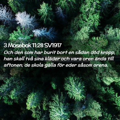Picture 02 - 3 Mosebok 11:28 SV1917 - Och den som har burit bort en sådan död kropp, - Bible Verse Picture