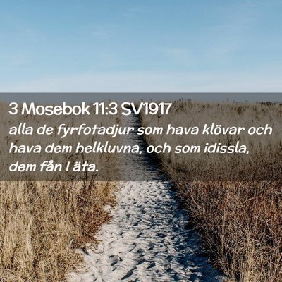 Picture 02 - 3 Mosebok 11:3 SV1917 - alla de fyrfotadjur som hava klövar och hava dem - Bible Verse Picture