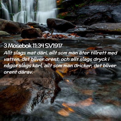 Picture 02 - 3 Mosebok 11:34 SV1917 - Allt slags mat däri, allt som man äter tillrett - Bible Verse Picture