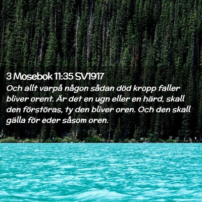 Picture 02 - 3 Mosebok 11:35 SV1917 - Och allt varpå någon sådan död kropp faller - Bible Verse Picture