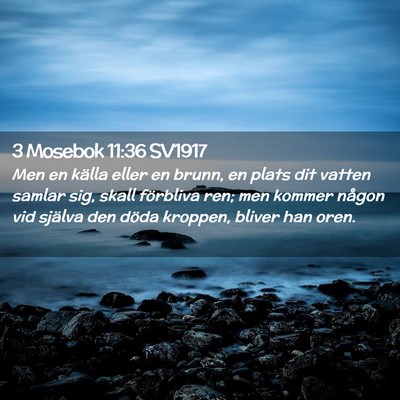 Picture 02 - 3 Mosebok 11:36 SV1917 - Men en källa eller en brunn, en plats dit vatten - Bible Verse Picture