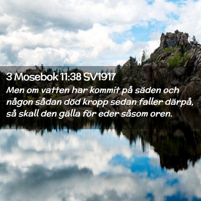 Picture 02 - 3 Mosebok 11:38 SV1917 - Men om vatten har kommit på säden och någon - Bible Verse Picture