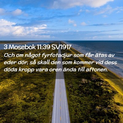 Picture 02 - 3 Mosebok 11:39 SV1917 - Och om något fyrfotadjur som får ätas av eder - Bible Verse Picture